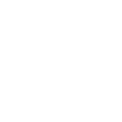 Evizaa